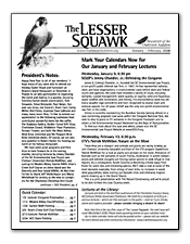 Lesser Squawk