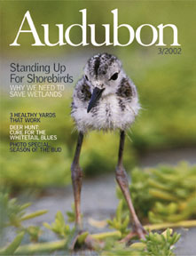 Audubon magazine cover