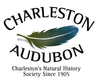 Charleston Audubon logo