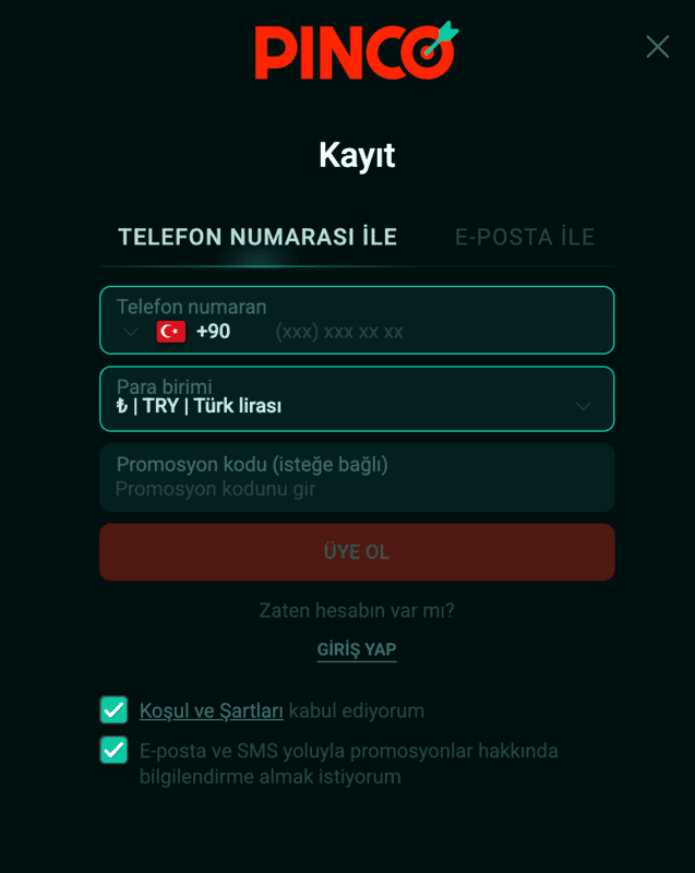 Pinco Casino kayıt formu